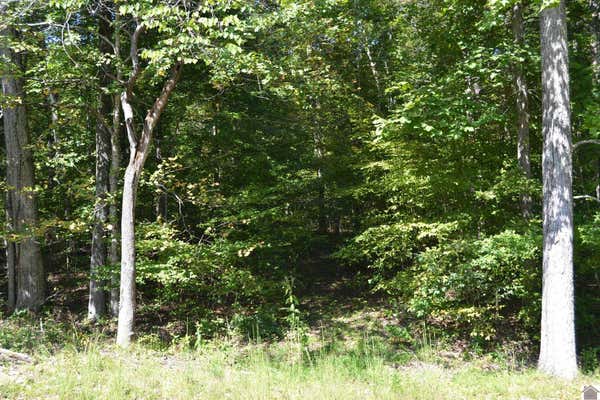 LOT 3 ROLLING MILLS ROAD, EDDYVILLE, KY 42038, photo 2 of 7