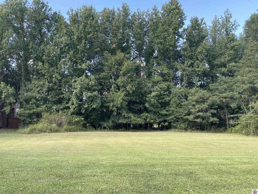 LOT 38 SADDLE CREEK SUBDIVISION, MURRAY, KY 42071 - Image 1