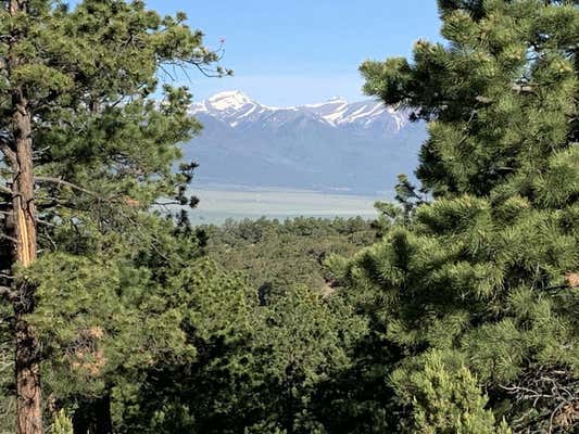 600 SANGRE VISTA RD, WESTCLIFFE, CO 81252 - Image 1