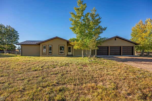 28 GRANADA CT, SILVER CLIFF, CO 81252 - Image 1