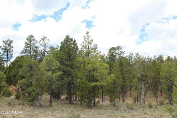 3339 SAWMILL RIDGE LOOP, HEBER, AZ 85928 - Image 1