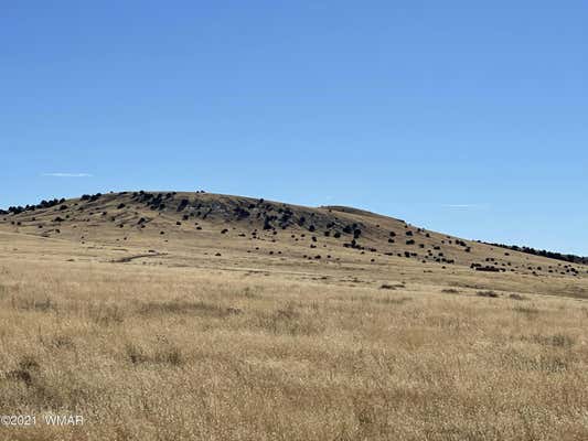 TBD N3374, CONCHO, AZ 85924, photo 3 of 9