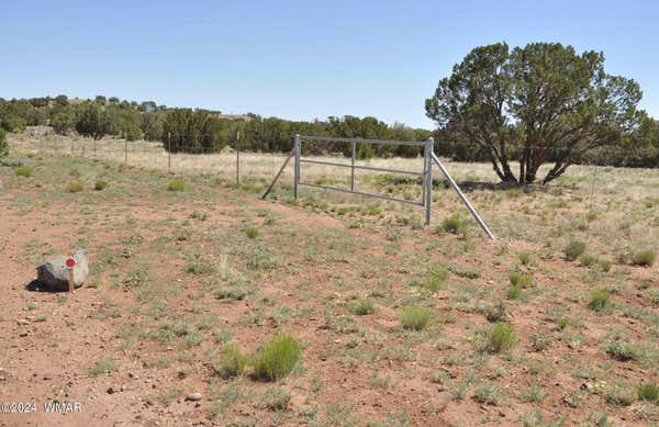 697A & B HOSS RANCH RD, CONCHO, AZ 85924, photo 3 of 22