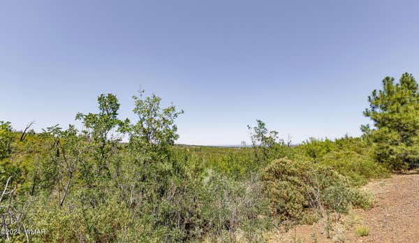 TBD FIELDY ROAD 11.97 ACRES, SHOW LOW, AZ 85901, photo 5 of 22