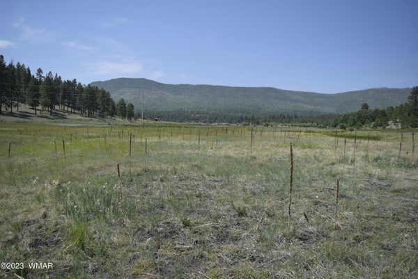 TBD CR 2275, NUTRIOSO, AZ 85932, photo 2 of 5