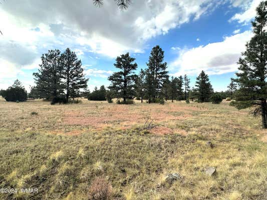 LOT 5A RED CABIN RANCH, VERNON, AZ 85940, photo 2 of 13