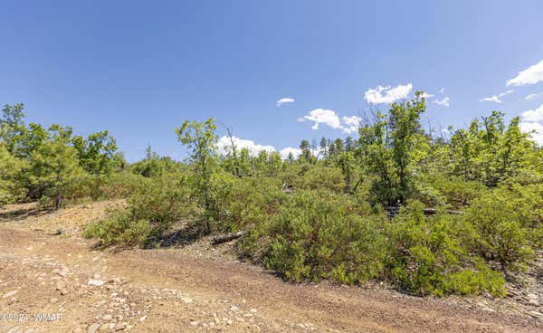 TBD FIELDY ROAD 11.97 ACRES, SHOW LOW, AZ 85901, photo 4 of 22