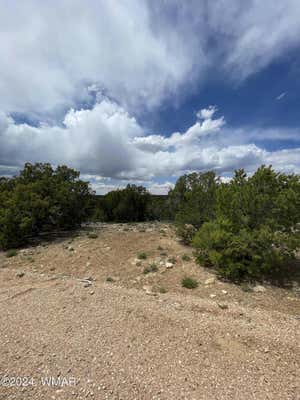 9 COUNTY ROAD 3045, CONCHO, AZ 85924 - Image 1