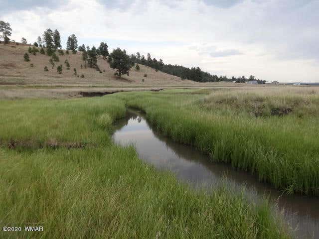 LOT 23 THE RANCH AT ALPINE, ALPINE, AZ 85920, photo 1 of 24