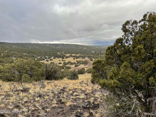 41 COUNTRY LN # 8296, CONCHO, AZ 85924, photo 2 of 23