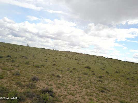 TBD 40.5 ACRES AT CARRIZO RANCHES, ST. JOHNS, AZ 85936, photo 3 of 6