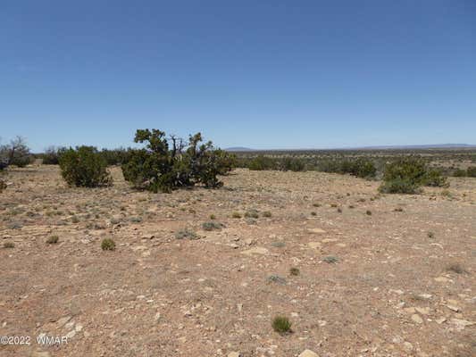 CCR UNIT 4, LOT 550, HEBER, AZ 85928, photo 3 of 7