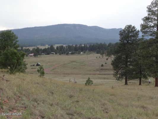 LOT 14 THE RANCH AT ALPINE, ALPINE, AZ 85920, photo 3 of 30