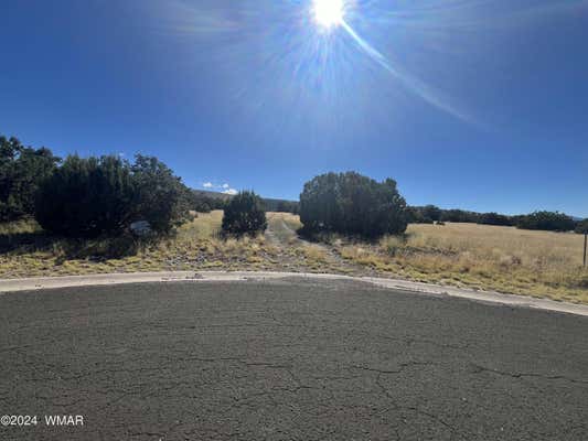 LOT 42 SKY CREST DRIVE, EAGAR, AZ 85925 - Image 1