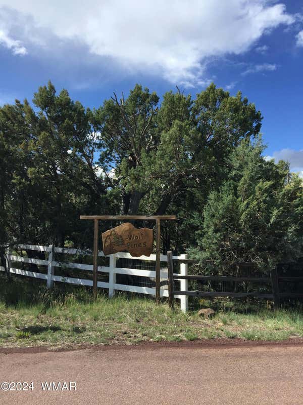 4817 BISON TRL, LAKESIDE, AZ 85929, photo 1