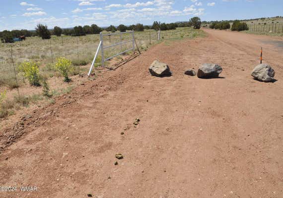 697A & B HOSS RANCH RD, CONCHO, AZ 85924, photo 4 of 22