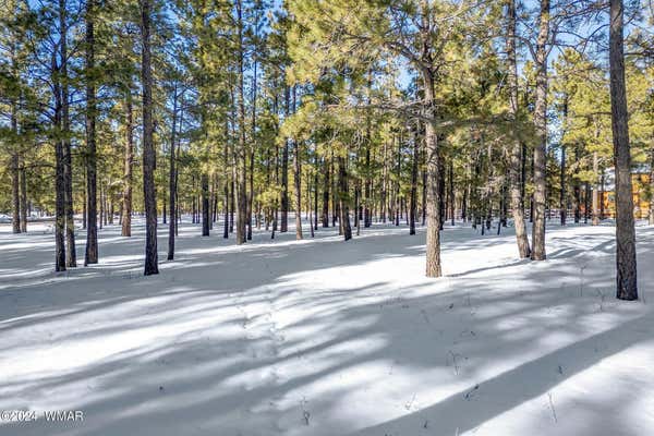 3 NORTH 1062, GREER, AZ 85927 - Image 1