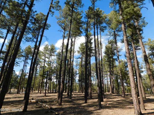 PARCEL E COUNTY ROAD N2147, ALPINE, AZ 85920, photo 3 of 7