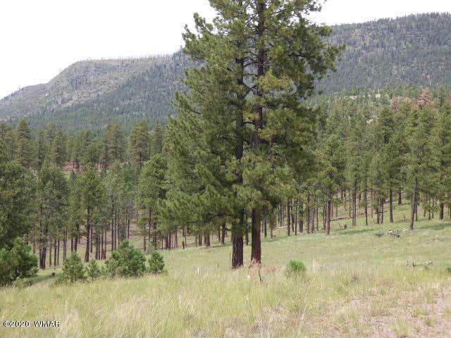 LOT 14 THE RANCH AT ALPINE, ALPINE, AZ 85920, photo 1 of 30