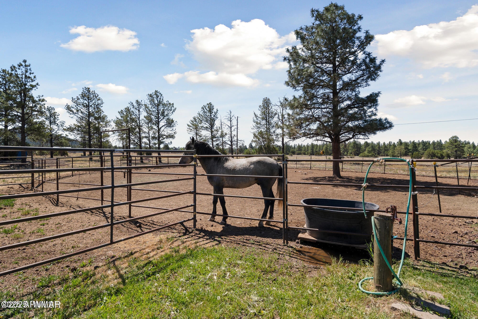 Lakeside, Arizona, 85929, United States, 8 Bedrooms Bedrooms, ,8 BathroomsBathrooms,Residential,Active,1860249