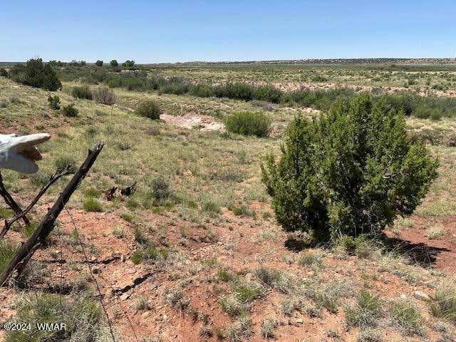 14 EAGLE RD, CONCHO, AZ 85924, photo 1 of 10