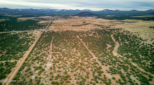 11 COUNTY ROAD 3149, VERNON, AZ 85940, photo 3 of 16