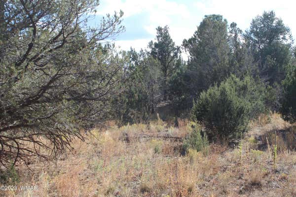 12 N 3113, VERNON, AZ 85940 - Image 1