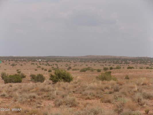 LOT 3 HWY AZ-377, HOLBROOK, AZ 86025 - Image 1