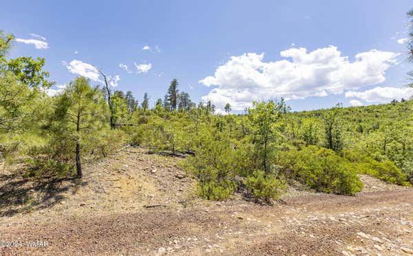 TBD FIELDY ROAD 11.97 ACRES, SHOW LOW, AZ 85901, photo 2 of 22