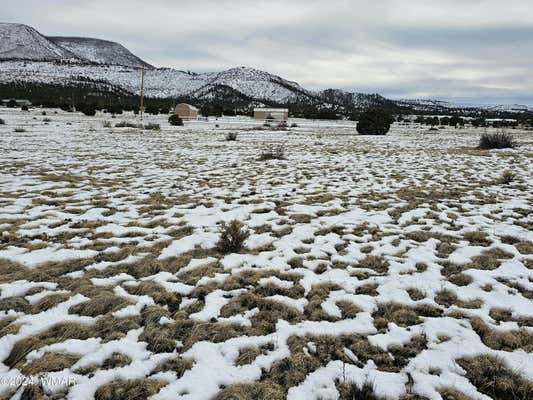 LOT 95 COUNTY ROAD 2003, NUTRIOSO, AZ 85932, photo 3 of 7