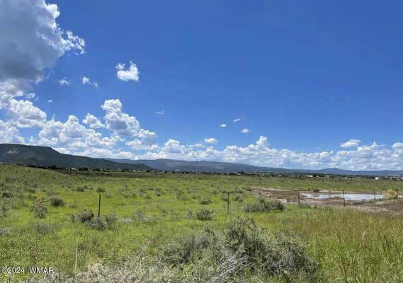 TBD PARCEL 2, SPRINGERVILLE, AZ 85938 - Image 1