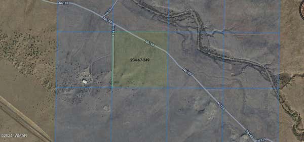 TBD 40.5 ACRES AT CARRIZO RANCHES, ST. JOHNS, AZ 85936, photo 5 of 6