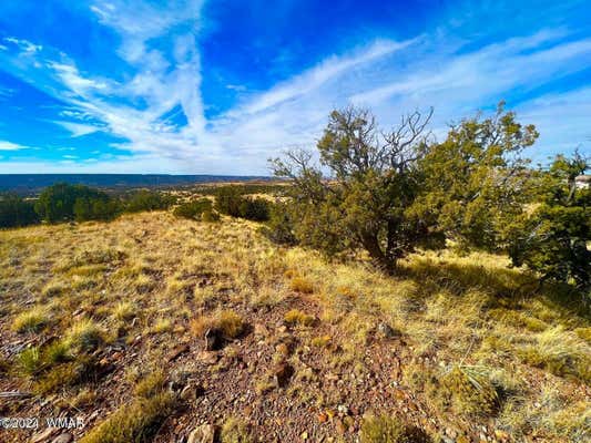 TBD CO RD 5062 2.39 ACRES, CONCHO, AZ 85924 - Image 1