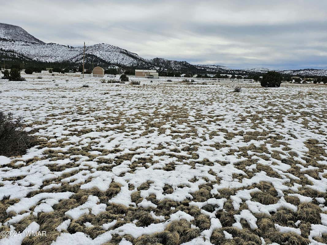 LOT 95 COUNTY ROAD 2003, NUTRIOSO, AZ 85932, photo 1 of 7