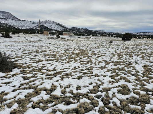 LOT 95 COUNTY ROAD 2003, NUTRIOSO, AZ 85932 - Image 1