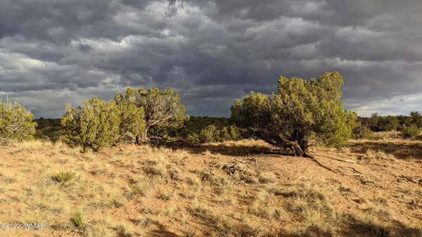 LOT 193 WOODLAND VALLEY RANCH, ST. JOHNS, AZ 85936 - Image 1