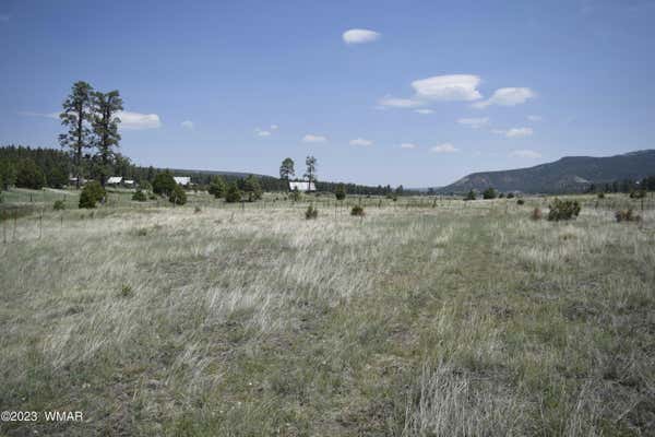 TBD CR 2275 1.22 ACRE, NUTRIOSO, AZ 85932, photo 4 of 5