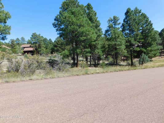 2789 SKYHAWK DR, OVERGAARD, AZ 85933 - Image 1