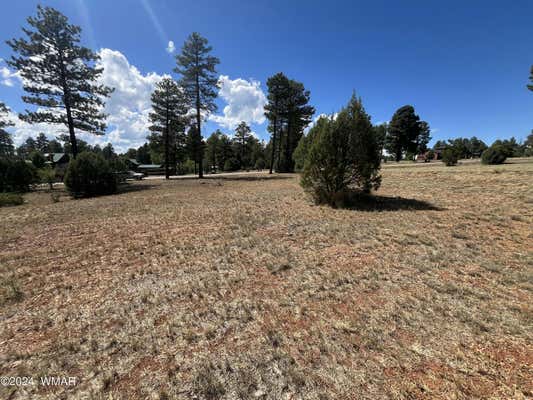 2741 SKYHAWK DR, OVERGAARD, AZ 85933 - Image 1