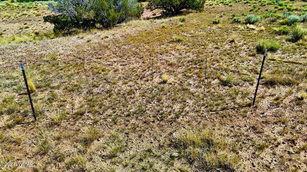 TBD N6655 40.45 ACRES, ST. JOHNS, AZ 85936, photo 5 of 26