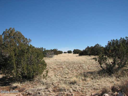 LOT 338 CHEVELON CANYON RANCH, HEBER, AZ 85928, photo 4 of 4