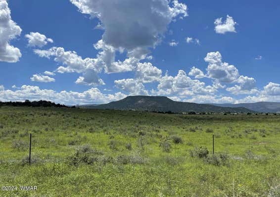 TBD PARCEL 1, SPRINGERVILLE, AZ 85938 - Image 1