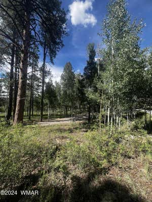 7 N1063, GREER, AZ 85927 - Image 1