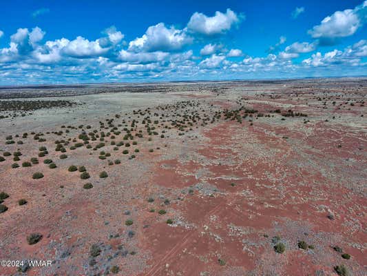 000 W ERIE STREET, SNOWFLAKE, AZ 85937, photo 4 of 7