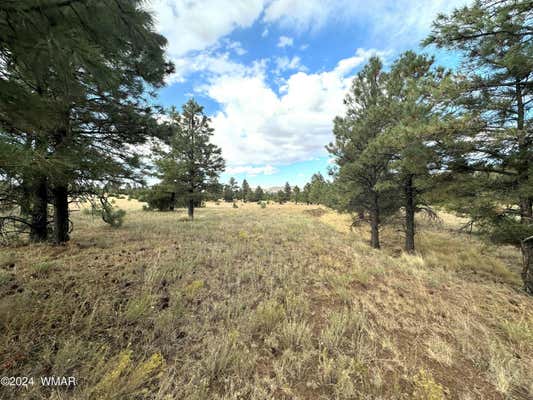 LOT 5A RED CABIN RANCH, VERNON, AZ 85940, photo 4 of 13