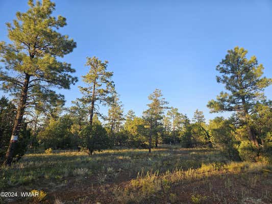 4843 BISON TRL, LAKESIDE, AZ 85929 - Image 1