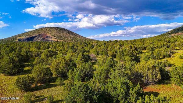 5669, 5693 & 5715 N CUNNING BLVD 3 ACRES, WILLIAMS, AZ 86046 - Image 1