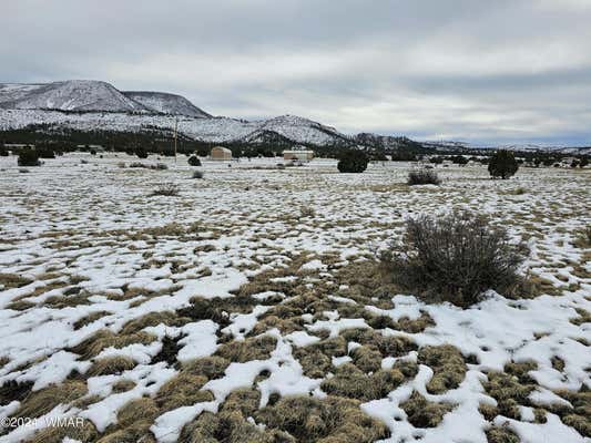 LOT 95 COUNTY ROAD 2003, NUTRIOSO, AZ 85932, photo 4 of 7