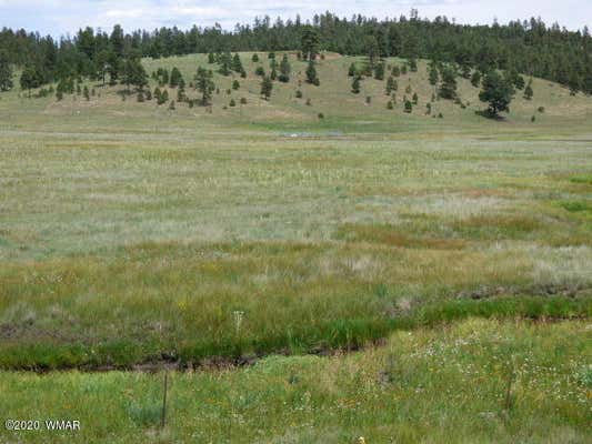 LOT 23 THE RANCH AT ALPINE, ALPINE, AZ 85920, photo 5 of 24