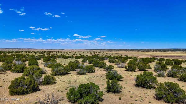 TBD N6655 40.45 ACRES, ST. JOHNS, AZ 85936 - Image 1